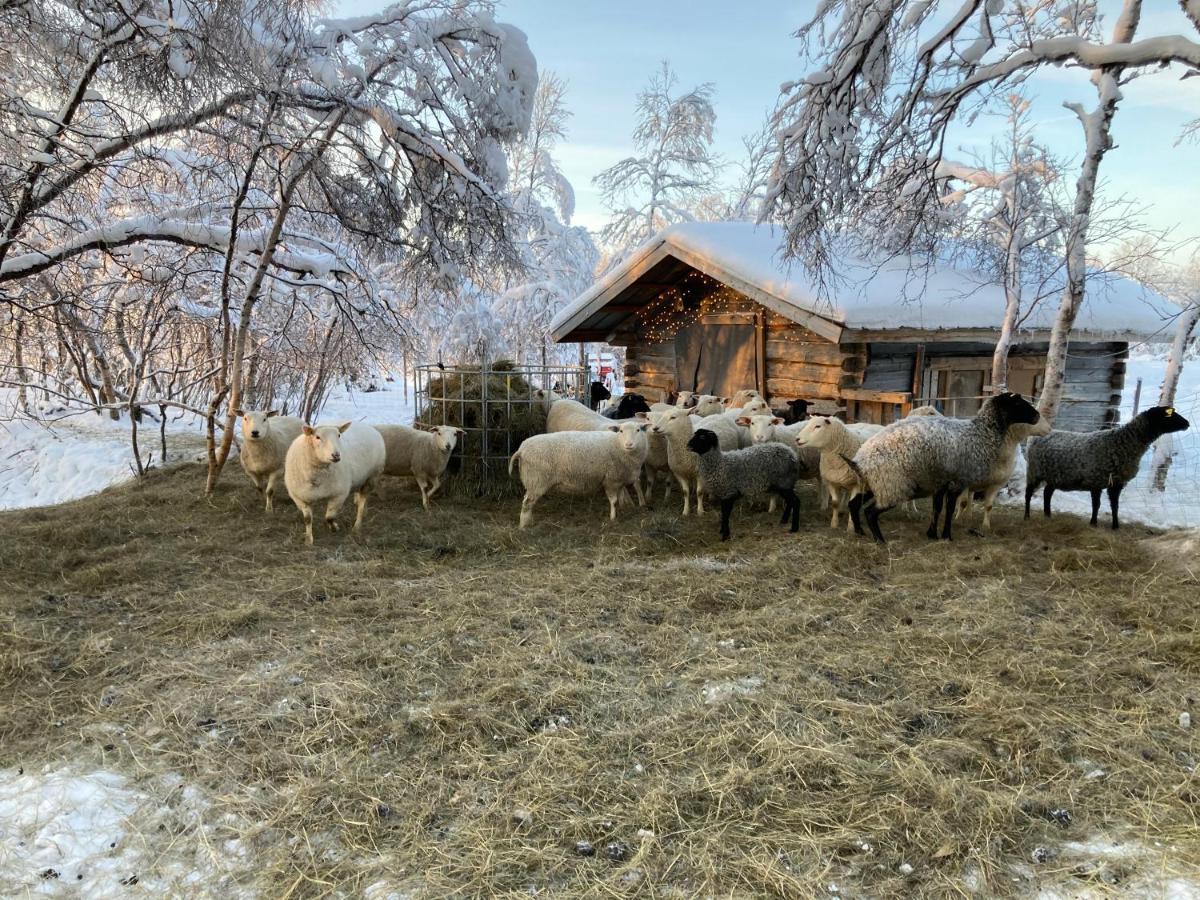 Kuttainen Lodge Karesuando Exteriér fotografie
